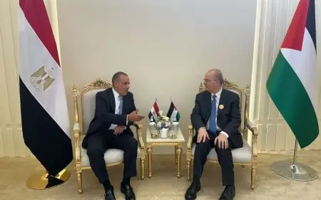 وزير الخارجية: جهود مصر متواصلة لوقف إطلاق النار في غزة ونفاذ المساعدات إلى القطاع