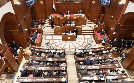 مطالب في مجلس الشيوخ بتعزيز مهارات القوى العاملة المصرية