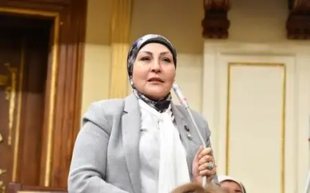 النائبة هالة أبو السعد: حكم الدستورية العليا بشأن قانون الإيجار القديم يهدف إلى إعادة التوازن بين المالك والمستأجر