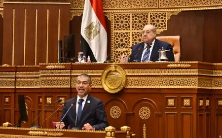 النائب محمد البدري: سرعة استجابة النواب لمناقشة تعديلات الإيجار القديم تؤكد أنه الحارس الأمين لحقوق الشعب