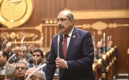 النائب إيهاب وهبة: يطالب بتحسين بيئة العمل لمواجهة البطالة