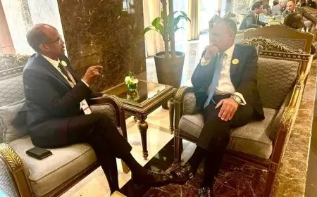 وزير الخارجية يبحث مع نظيره الجيبوتي تعزيز العلاقات بين البلدين