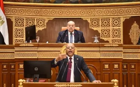 وزير العمل أمام مجلس الشيوخ: إغلاق 14 شركة وهمية لتشغيل العمالة بالخارج