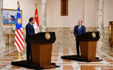 الرئيس السيسي: مستمرون في بذل كل جهد ممكن لوقف إطلاق النار في غزة وإدخال المساعدات