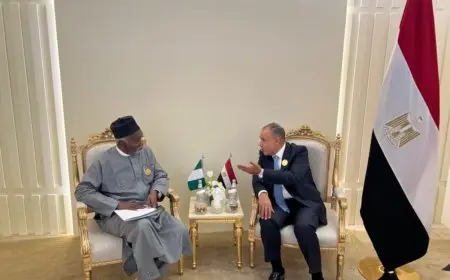 عبدالعاطي يلتقي مع نظيره النيجيري على هامش الاجتماع الوزاري التحضيري للقمة العربية الإسلامية في الرياض