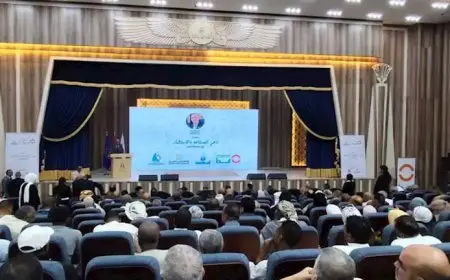 تنمية المشروعات يضخ 25.6 مليار جنيه لصعيد مصر في 10 سنوات