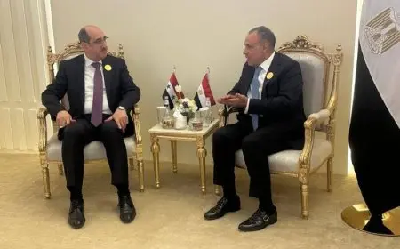 وزير الخارجية لـ نظيره السوري: نتطلع لاستعادة التنسيق بين البلدين في إطار جامعة الدول العربية