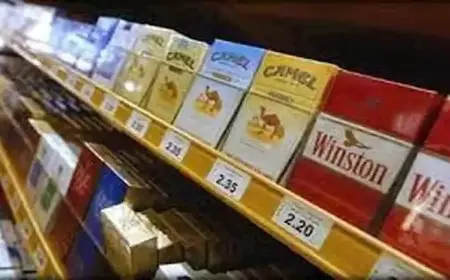بعد زيادتها.. أسعار سجائر “وينستون” ومنتجات يابان الدولية JTI