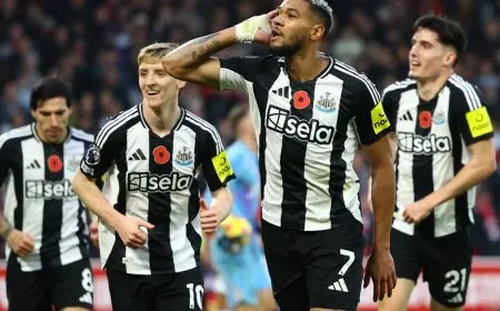 نيوكاسل ينتفض لينهي سلسلة انتصارات نوتنغهام في الدوري