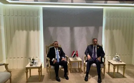 وزيرا خارجية مصر وتركيا يؤكدان على ضرورة وقف إطلاق النار في غزة