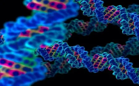 شركة ناشئة تفرض على الآباء 50 ألف دولار لفحص الأجنة لمعرفة معدل ذكائهم