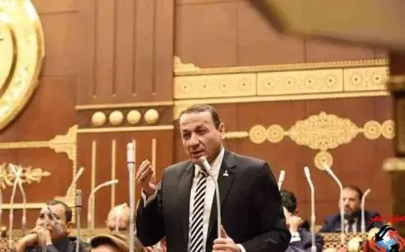 رئيس الهيئة البرلمانية لحزب حماة الوطن يطالب بتوفير ضمانات لتحقيق جودة التعليم