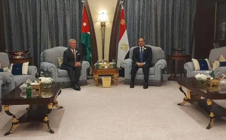 الرئيس السيسي والعاهل الأردني يؤكدان رفض التهجير القسري وتصفية القضية الفلسطينية