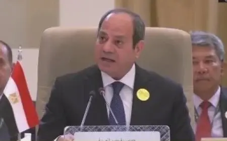 الرئيس السيسي: سنقف أمام كل المخططات التي تستهدف تصفية القضية الفلسطينية