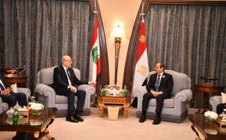 السيسي يلتقي ميقاتي ويشدد على أهمية دور المجتمع الدولي في وقف التصعيد بالمنطقة