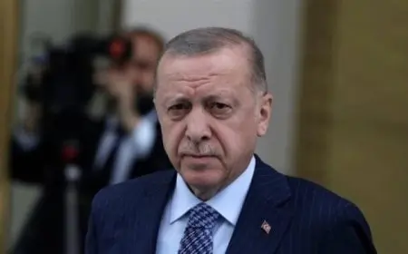 أردوغان يدعو لفرض حظر تصدير الأسلحة إلى إسرائيل وإيقاف حركة التجارة معها