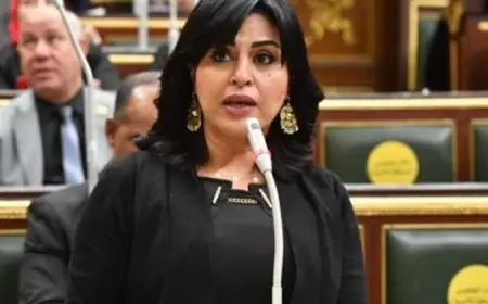 النائبة هند رشاد مشيدة بكلمة الرئيس بقمة الرياض: قدم حلولا جذرية للمشاكل بالمنطقة