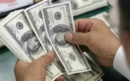 منها الأهلي ومصر.. سعر الدولار يتراجع في 8 بنوك بنهاية تعاملات الاثنين