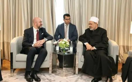 شيخ الأزهر: ازدواجية المعايير تدعم العدوان على غزة وتعمّق الكراهية بين الشرق والغرب