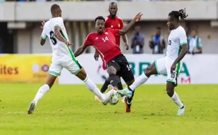 كيف يُحسم صراع التأهل عن المجموعة الرابعة بتصفيات كأس أمم أفريقيا؟.. «موقف نيجيريا وليبيا»