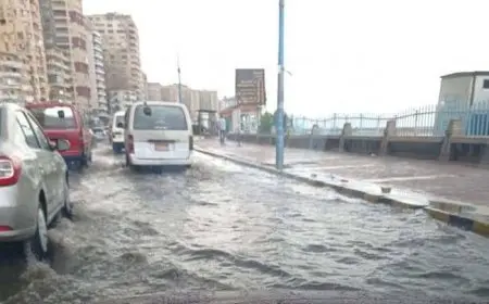 الأرصاد تعلن تفاصيل طقس الـ6 أيام المقبلة.. أمطار بهذه المناطق