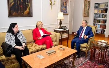 وزير الخارجية يبحث مع مسئولة أممية سبل التعامل مع الوضع الإنساني الكارثي في غزة