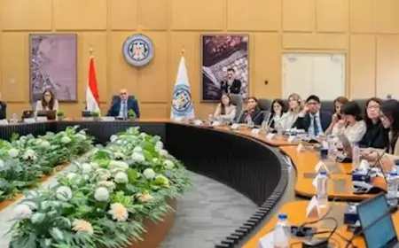 وزارة المالية تدرس إصدار السندات للأفراد لتمكين المستثمرين