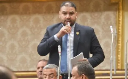 النائب إبراهيم الديب يقترح تدشين اتحاد إفريقي للزراعة: أمن قومي للتغلب على التحديات