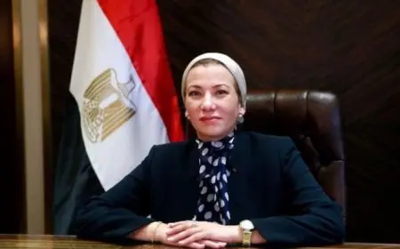 البيئة: مصر تلعب دورا هاما في تسيير مشاورات الهدف الجمعي الجديد لتمويل المناخ خلال cop29