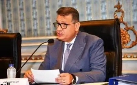 النائب طارق رضوان: التشريعات والعقوبات المرتبطة بعقوبة الإعدام تحتاج لتطوير