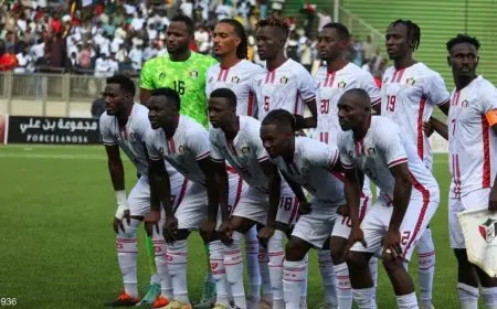 كيف تُحسم البطاقة الثانية عن المجموعة السادسة من تصفيات كأس أمم أفريقيا؟.. «السودان في طريق مفتوح»