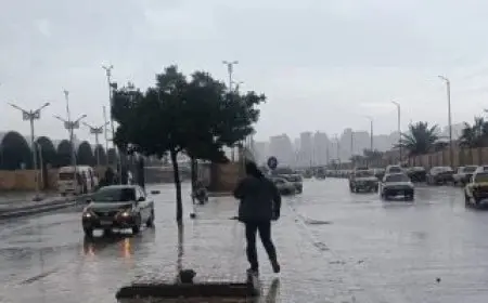 الأرصاد تحذر من طقس أول الأسبوع: يبدأ بشبورة مع رياح وبرودة وأمطار