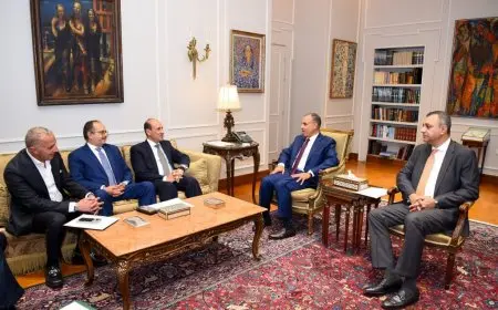 وزير الخارجية يلتقي رؤساء شركتا المقاولون العرب والسويدي إليكتريك المنفذان لسد تنزانيا