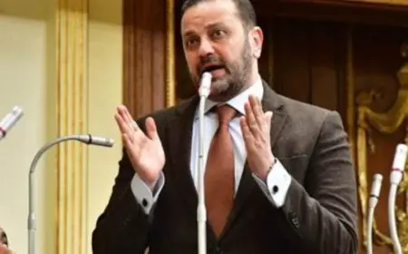 النائب أحمد الشرقاوي: قانون الإجراءات الجنائية مفصلي ومكمل للدستور