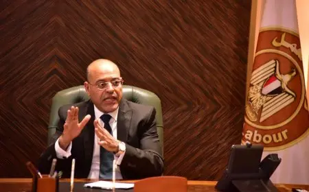 وزير العمل يوجه مكاتب التمثيل العمالي بالخارج لتوفير وظائف للشباب المصري
