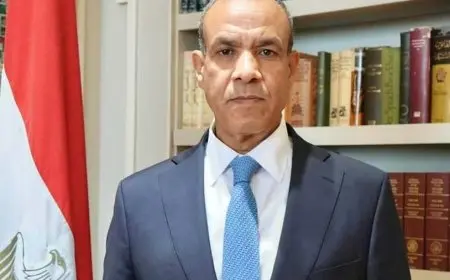 وزير الخارجية: لا يمكن السماح باستمرار العدوان الإسرائيلي تحت أي مبرر أو ذريعة