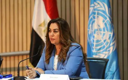 وزيرة التنمية المحلية: تعزيز التعاون المشترك مع الصين في صناعة السيارات الكهربائية خلال الفترة القادمة