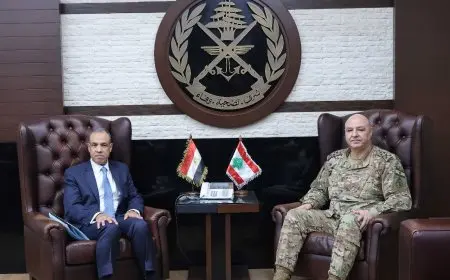 وزير الخارجية يستعرض مع قائد الجيش اللبناني اتصالات مصر لوقف العدوان الغاشم