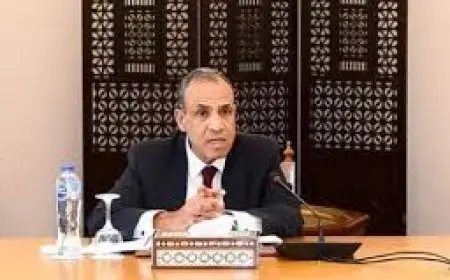 وزير الخارجية المصري: لدينا اتصالات يومية لوقف العدوان الإسرائيلي على لبنان