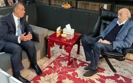 وزير الخارجية يستعرض مع وليد جنبلاط جهود إعادة التهدئة إلى لبنان