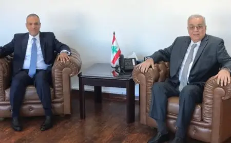 وزير الخارجية والهجرة يلتقي نظيره اللبناني لبحث العدوان الإسرائيلي على أراضي لبنان وانتهاك سيادته