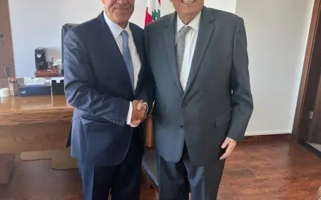 وزير الخارجية يدين العدوان الإسرائيلي الغاشم على الأراضي اللبنانية