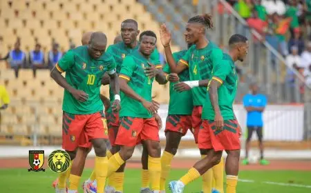 من يرافق الكاميرون إلى كأس أمم أفريقيا عن المجموعة العاشرة للتصفيات؟.. «صراع ثنائي»