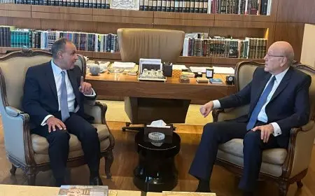 وزير الخارجية يؤكد استمرار مصر فى تقديم كافة صور الدعم للبنان