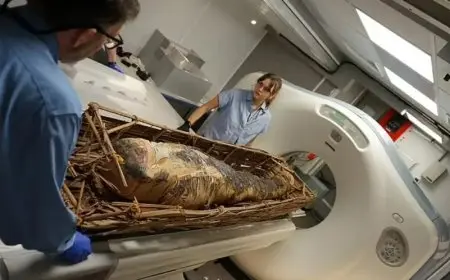حل لغز تابوت المومياء المصرية “شينيت-آ” عبر المسح بالأشعة السينية