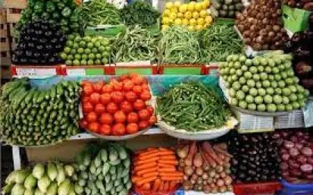 أسعار الخضروات والفاكهة اليوم الخميس 14 نوفمبر 2024
