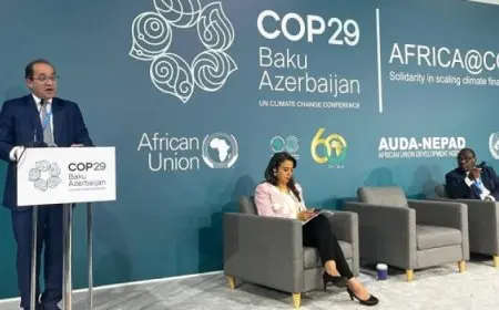 خلال مؤتمر «COP29» ..كجوك: «التمويل المناخي» يتطلب تعاونًا دوليًا برؤية مبتكرة