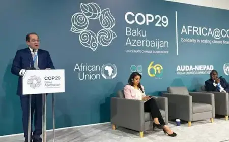 وزير المالية: نتطلع لاستكشاف آليات تمويلية كسندات الاستدامة ومبادلة الديون بالاستثمار الأخضر