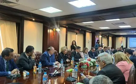 مصطفى بكري: نواجه هجمة شرسة برغم الإنجازات في ملف حقوق الإنسان