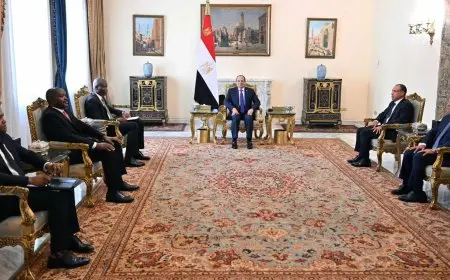 الرئيس السيسي يلتقي وزير العلاقات والتعاون الدولي بجنوب أفريقيا